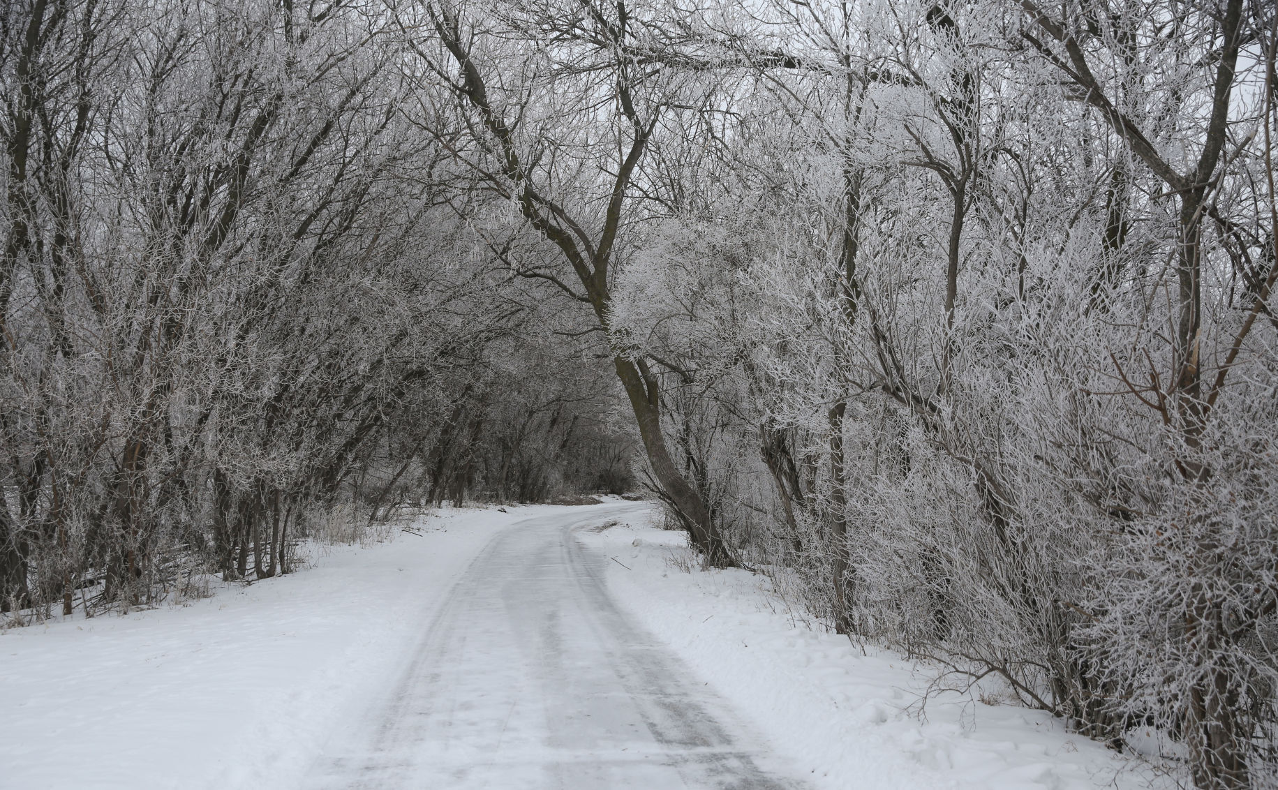 Frosty day - Feb. 2, 2020-18.jpg